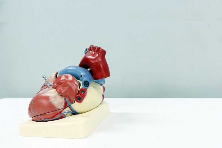 American Heart Health Worsening – The Good Men Project