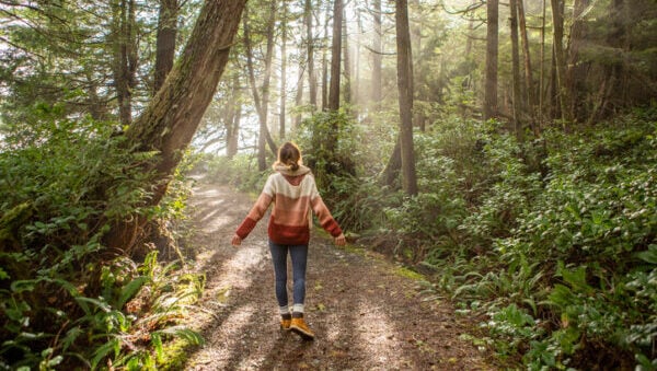 Embracing Nature’s Wisdom: A Journey of Growth