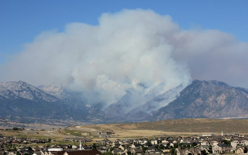 Growing Evidence Points to Link Between Autism and Wildfire Smoke
