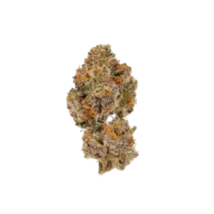 Lemon Cherry Mochi Auto Flowering Seeds