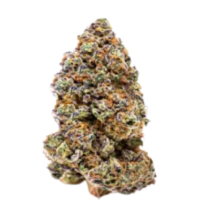 Milkshake Nerdz Feminised Seeds