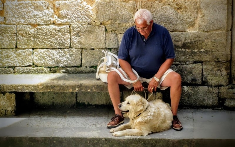 Pets Can Help Older Adults’ Health and Well Being, but May Strain Budgets Too