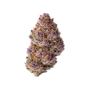 Unicorn Wagyu Auto Flowering Seeds 7