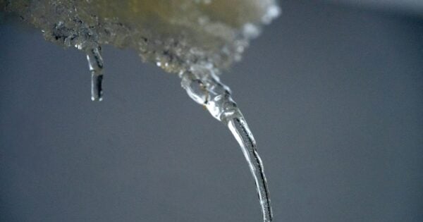 Breast Tumor Cryoablation: Katelin Holmes on ICE3, Endocrine Therapy, and Patient Selection