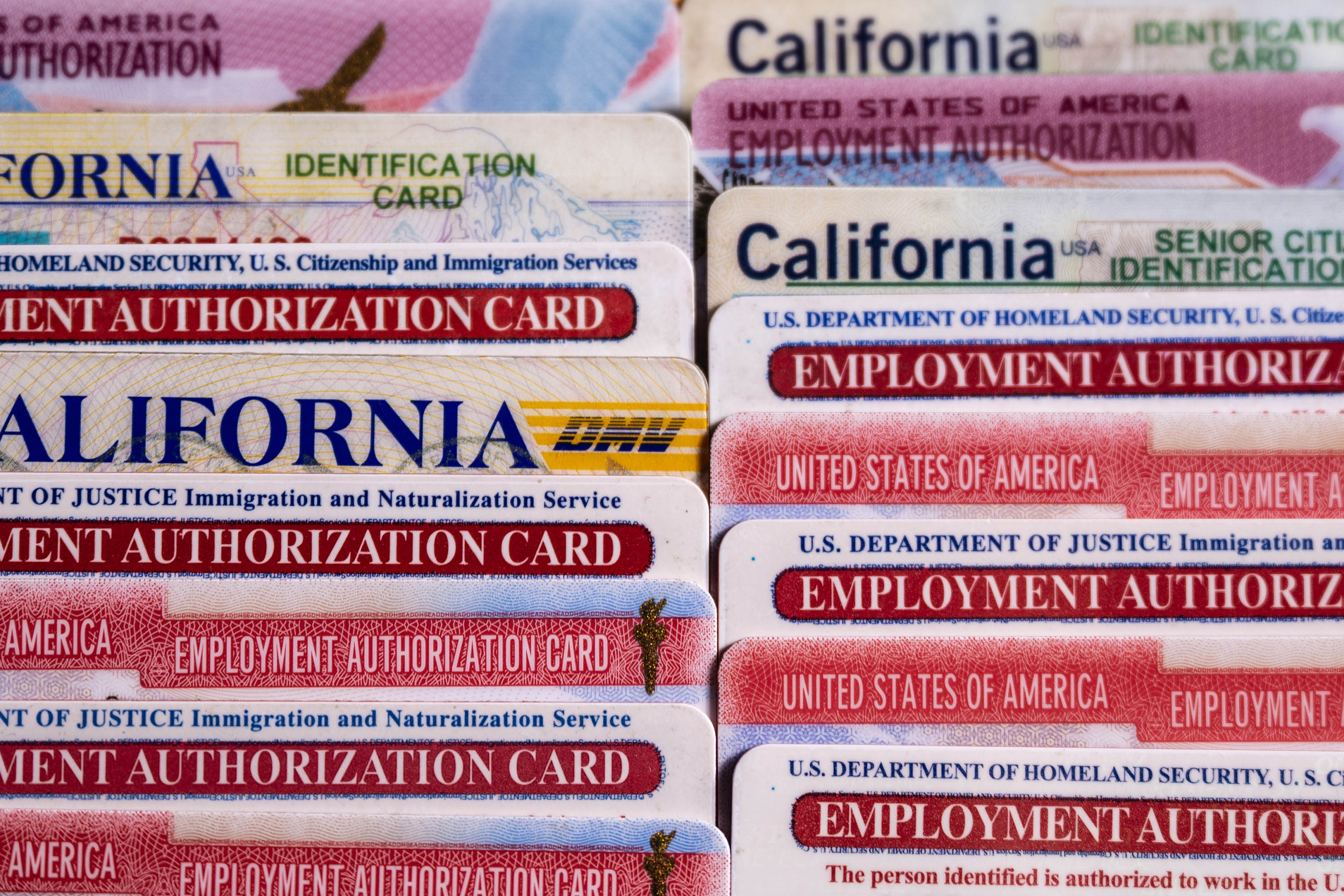 An up-close photo of a stack of California ID and Employment Authorization cards.