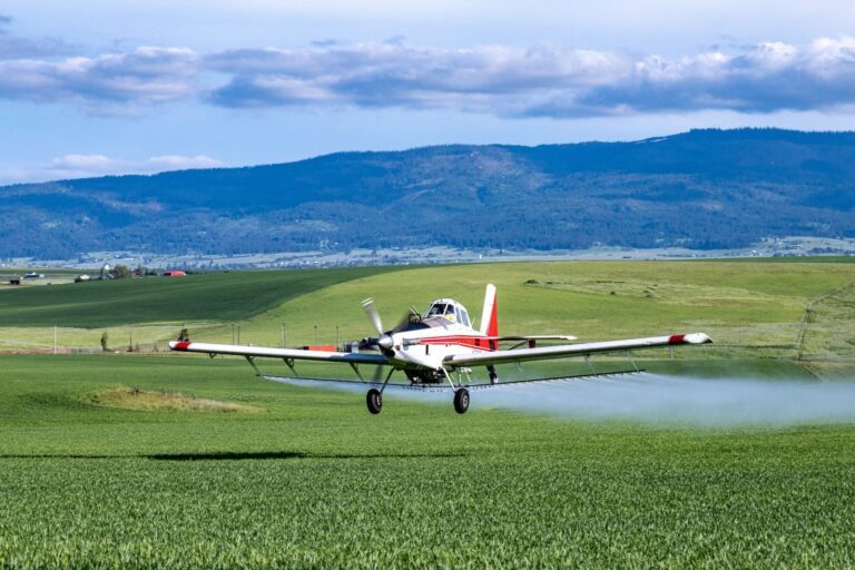 DDT Pesticide Linked to Alzheimer’s