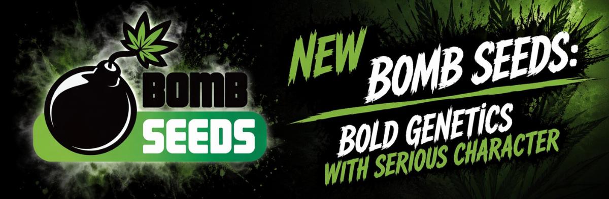 New Bomb Seeds