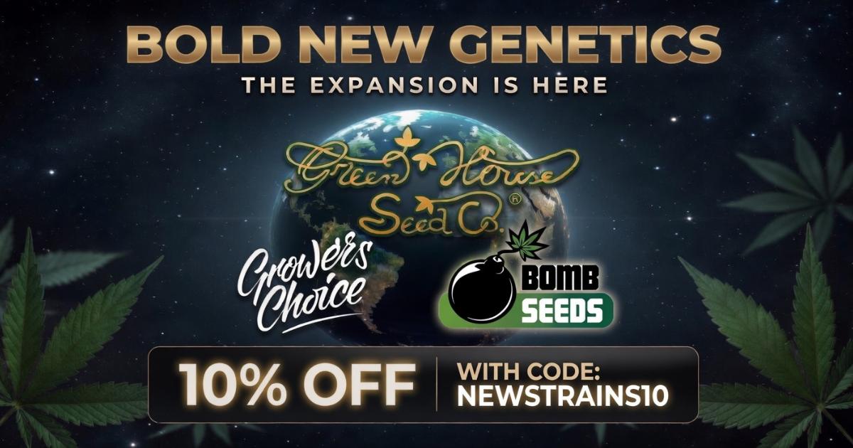 New Cannabis Seeds | Fresh Drops from Leading Breeders