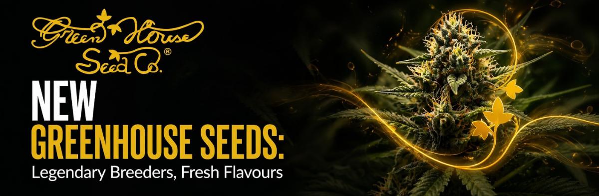 New Greenhouse Seeds