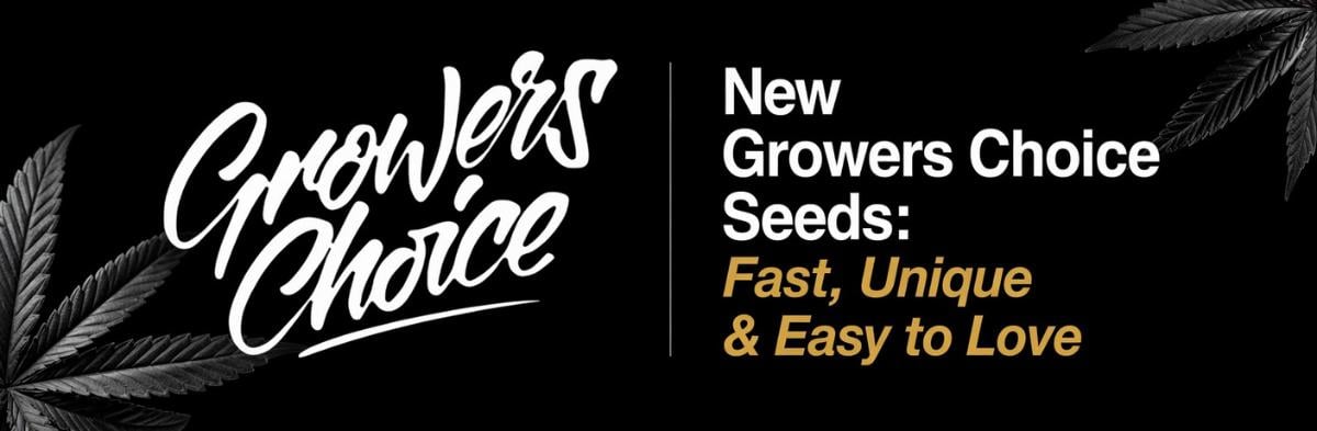 New Growers Choice Seeds