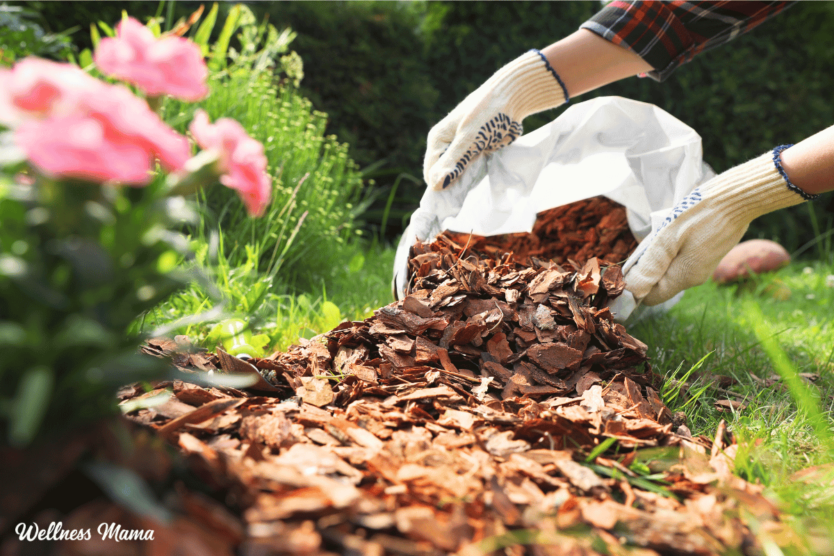 Spring Garden Checklist For An Easier Garden Season