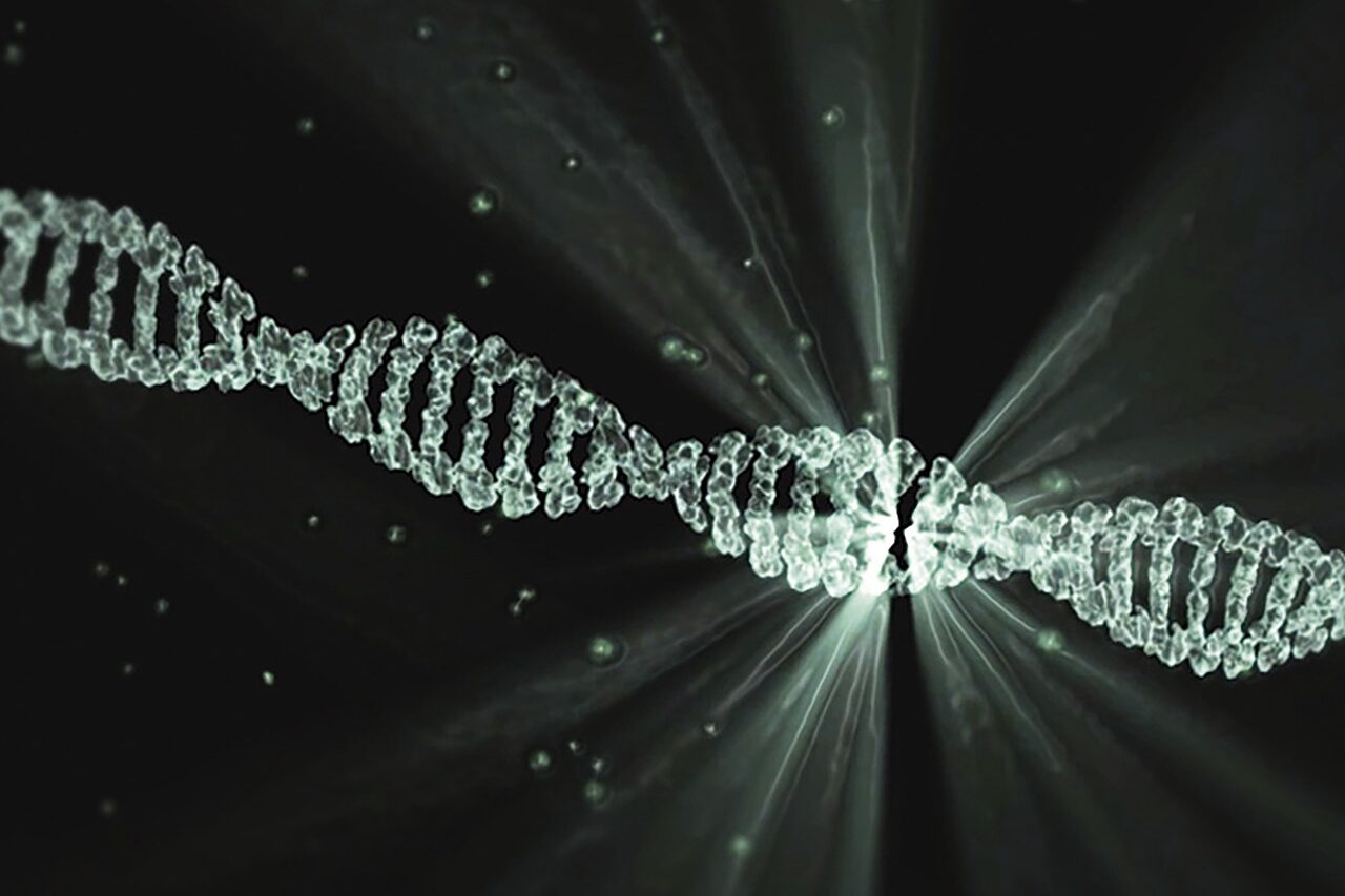 The Nigerian Paradox: How Diet Fights Alzheimer’s Genes