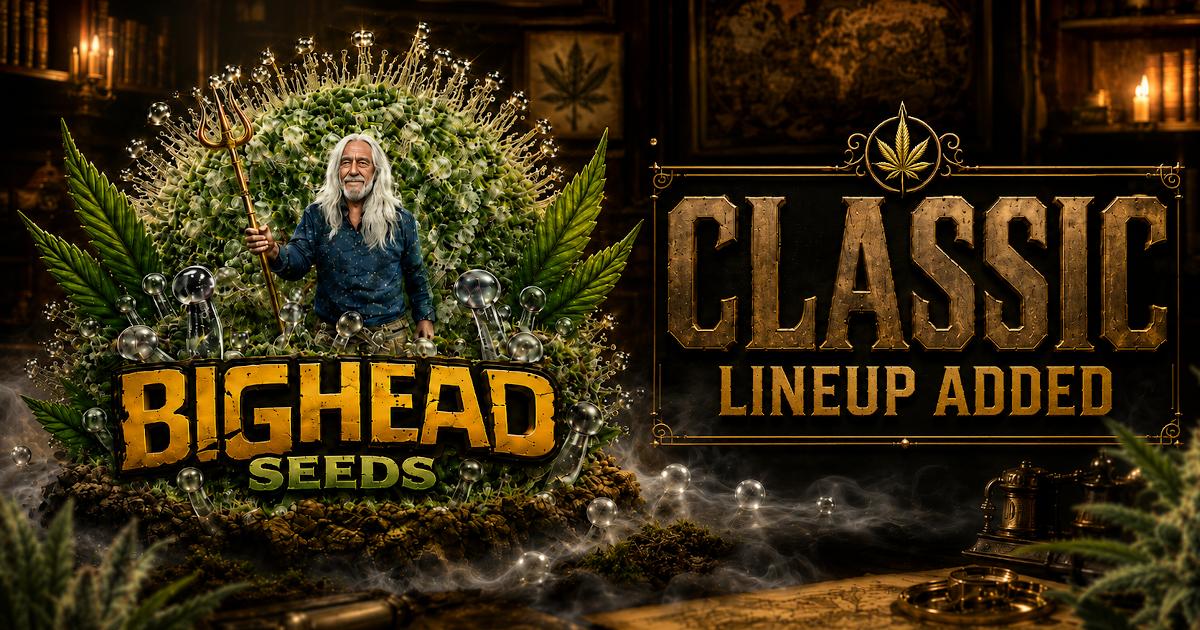 Bighead Seeds Classic Line Strains