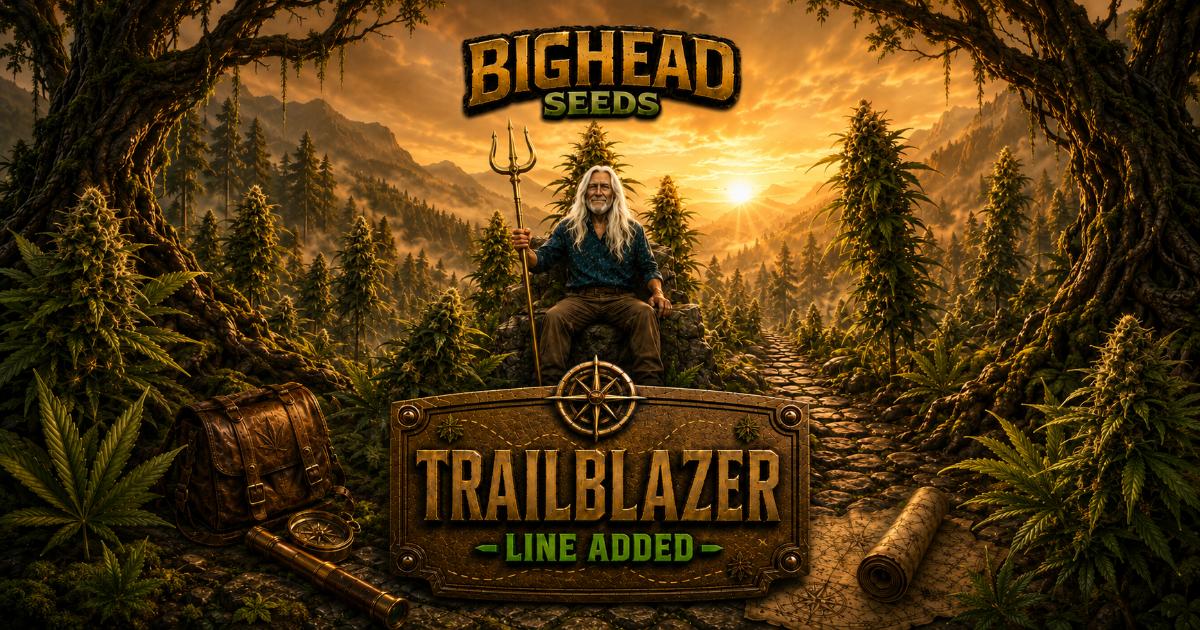 Bighead Seeds TrailBlazer Line Strains 10% OFF at The Vault