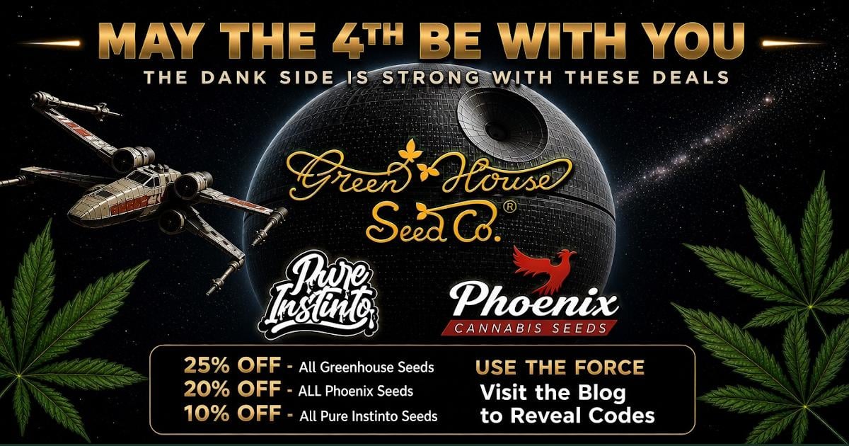 May the 4th Be With You