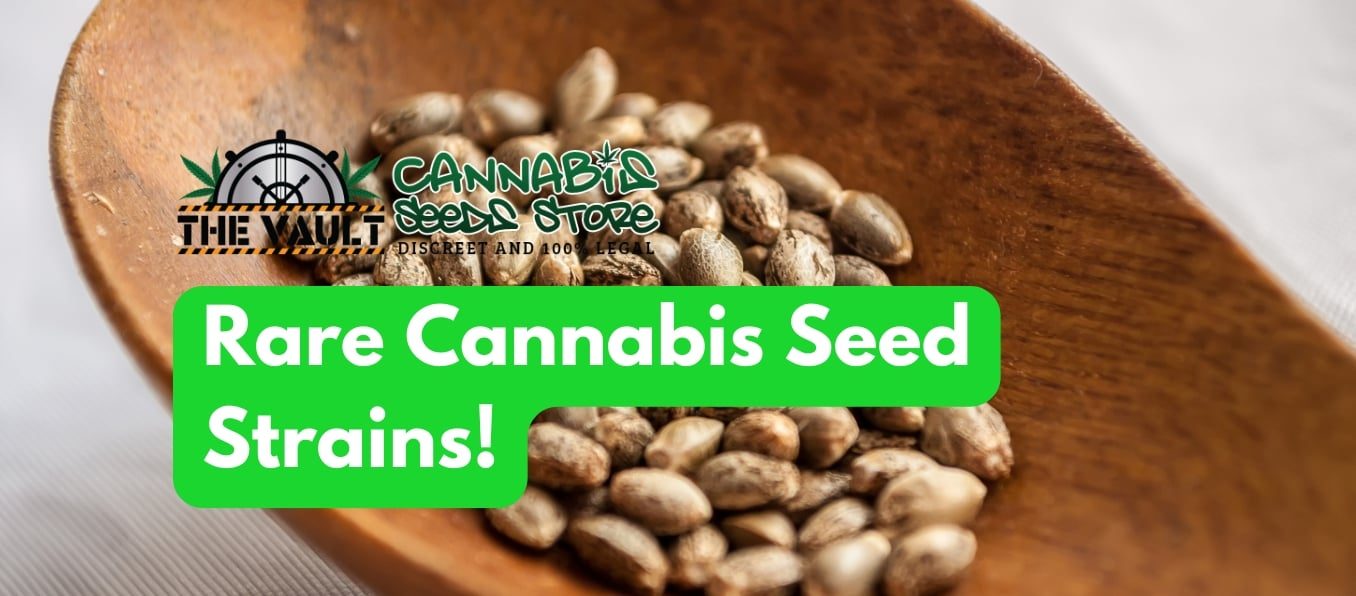 Rare Cannabis Seed Strains