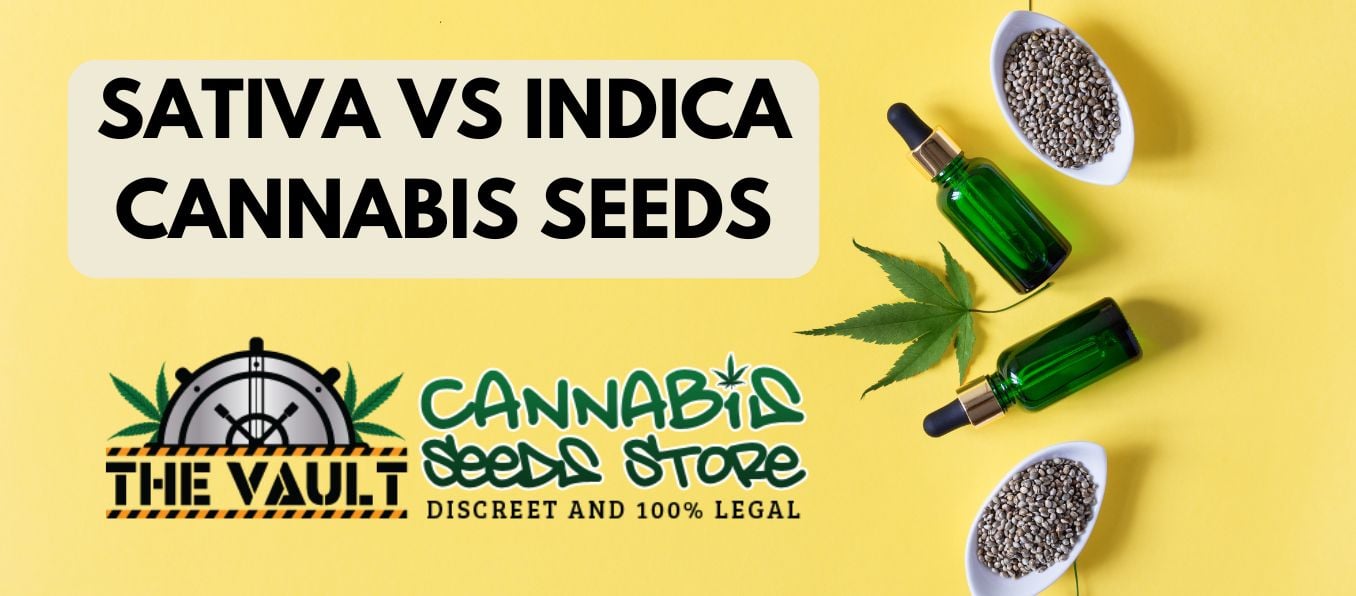 Sativa VS Indica Cannabis Seeds