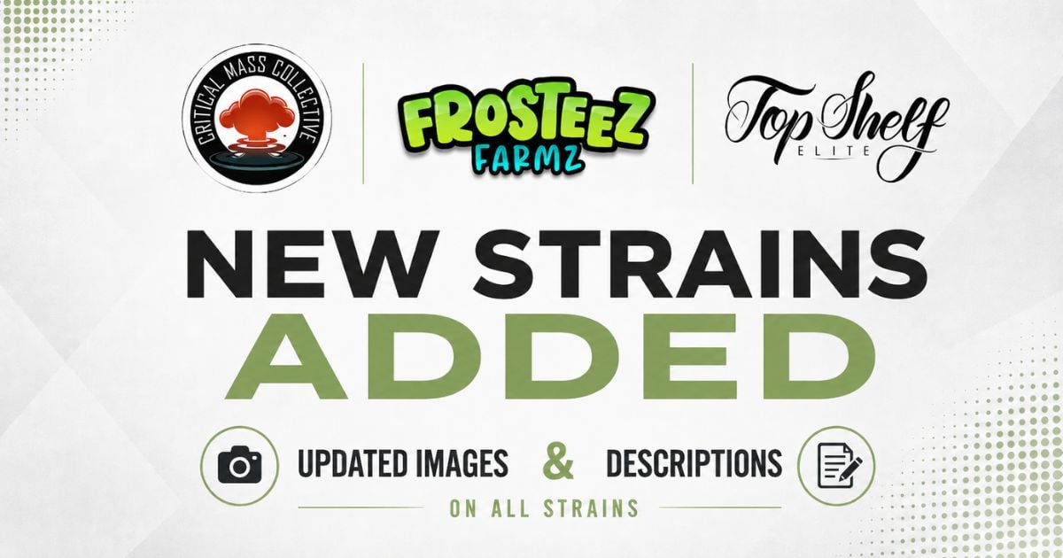 New Cannabis Seeds | 10% OFF at The Vault