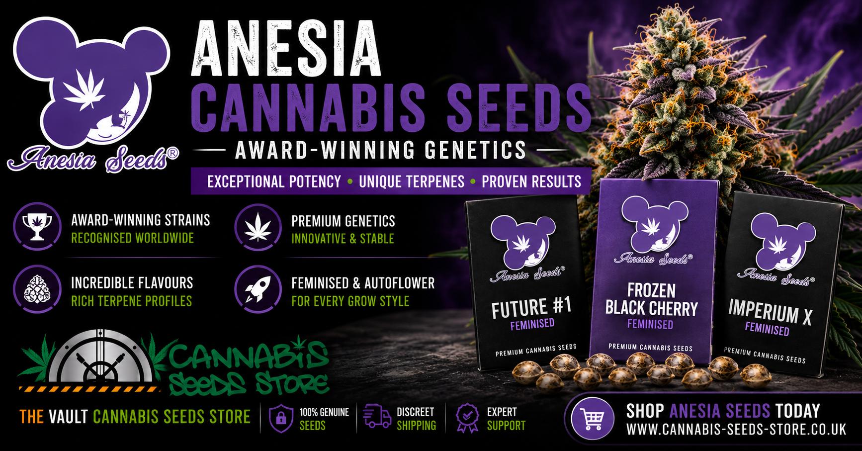 Award-Winning Genetics Available at The Vault Cannabis Seeds Store