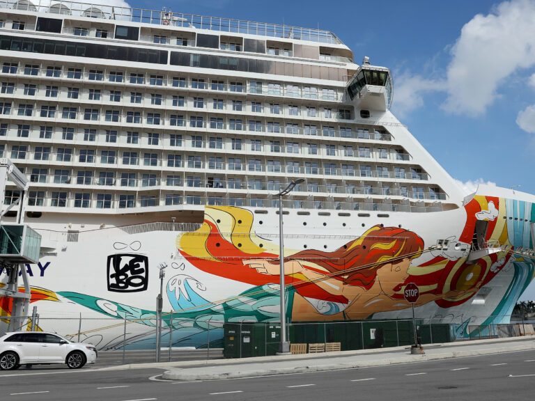 CDC drops its COVID-19 risk advisory for cruise ship travel