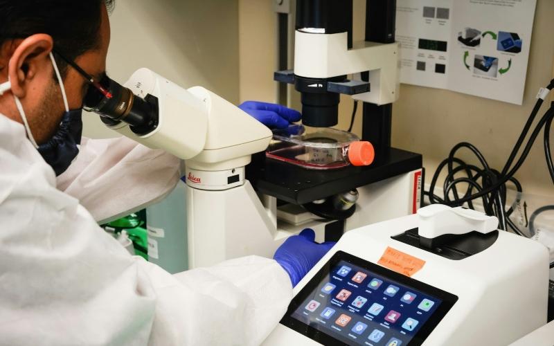 High Fertility Costs Push Americans Abroad for IVF Treatment