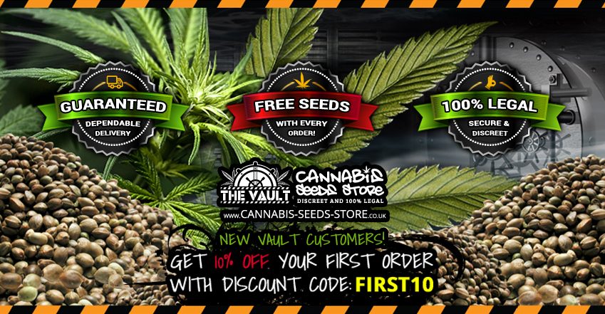 Best Cannabis Seeds Shop UK